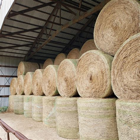 Prairie hay for sale 3x4x8. . Hay for sale in missouri